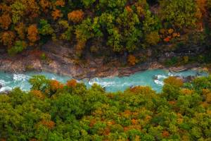 Enzo CATAURO - ZOCA PICTURES